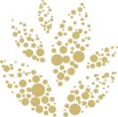 Protect & Restore Nature symbol